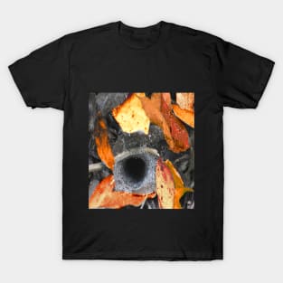 Fiery Funnel Web Spider's Den T-Shirt